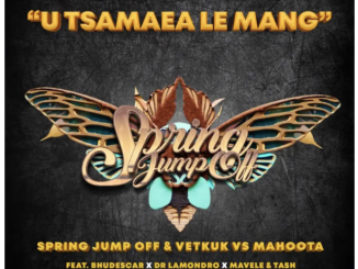 Spring Jump Off, Vetkuk & Mahoota – U Tsamaea Le Mang (feat. Dr Lamondro, Mavele, Saeed Moska & Tash Ls)
