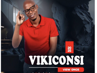 EP: Vikiconsi – View Once