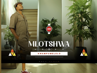 Mlotshwa - Iso ngeso (feat. Mfoka Msezane)
