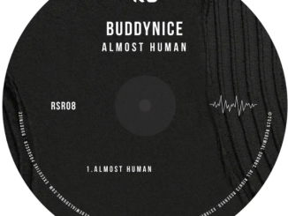 Buddynice – Almost Human
