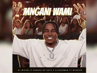 Dj Michel – Mngani Wami