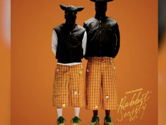 2woBunnies, Uncool MC & Poco Lee