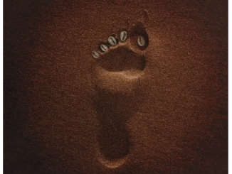 Tycoon – The Tyza Way II (Album)