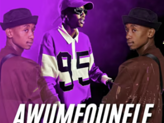 Scotts Maphuma & Dj Maphorisa – Animfonele