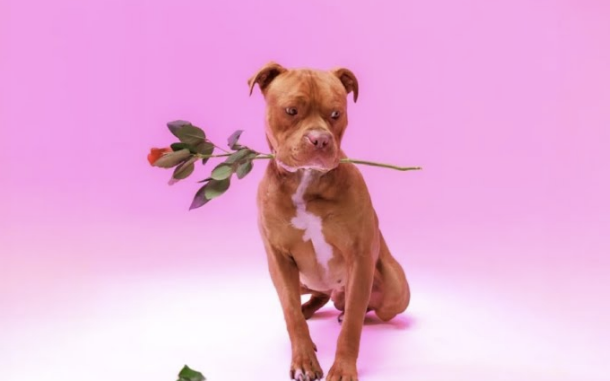 Zee Nxumalo – Ngisakuthanda