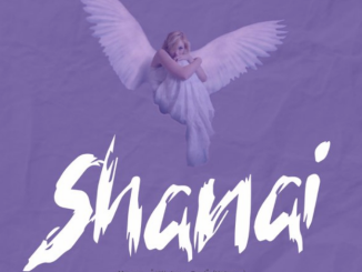 Wayne & Tango, Mr Pilato & Simefree - Shanai