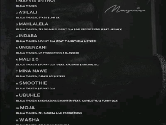 Dlala Thukzin – SMOOTHIE Ft Funky QLA