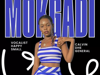 Dilo Ja Bopapa Mokgadi