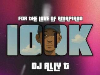 Dj Ally T - 100K (To Mellow & Sleazy & M00tion)