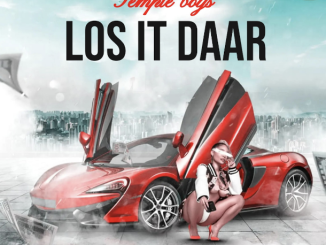 Temple Boys Cpt – ‎Los It Daar