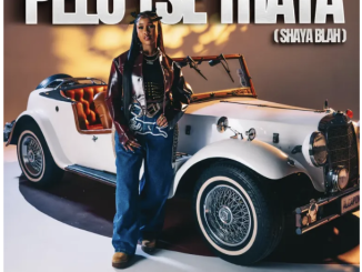 Pabi Cooper, Boohle & Focalistic – Pelo Tse Thata (feat. Mulest Vankay & DJ Maphorisa)
