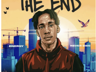 Novatron – The End (Album)