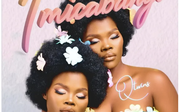 Q Twins – Impilo (feat. Beast RSA, Dladla Mshunqisi & DJ Fuzeh)