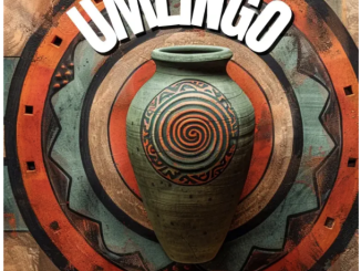 Calvin Shaw, T-Man SA & MFR Souls – Umlingo