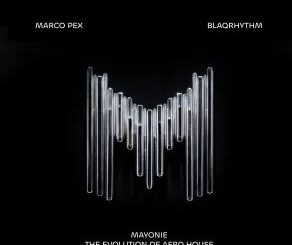 Mayonie & Skillz – Ibhanoyi (feat. Zakes Bantwini)