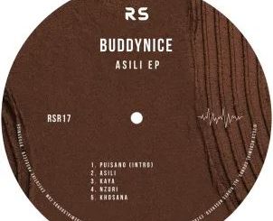 Buddynice – Asili EP