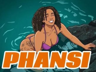 Ngoma Drum – Phansi