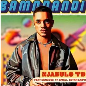 Njabulo_TD – BAMNANDI ft Tk Small, Senzo02 & 5starr.caiph