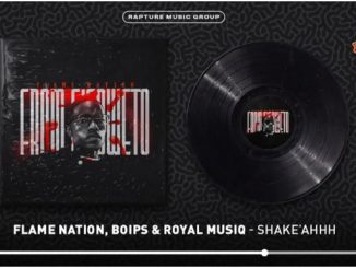 Flame Nation, Boips & Royal MusiQ – SHAKE’AAA