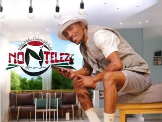 Nontelezi – Mhle umsebenzi