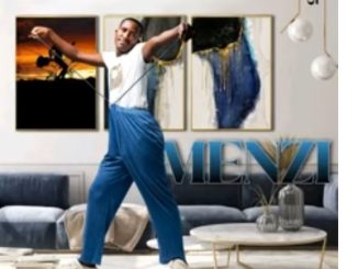 Menzi – Ngisesibhedlela