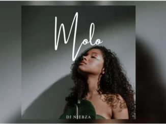 Dj Njebza, Kelvin Momo, Dj Maphorisa & Kabza De Small – Molo ft Thatohatsi & Tracy