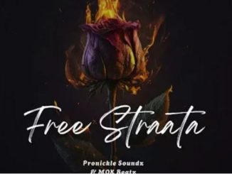 Pronickle Soundz – Free Straata ft. Mok beatz