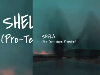 Pro-Tee – Shela (Pro-Tee’s Gqom Remake) ft. Dr Dope & Deejay Zebra SA
