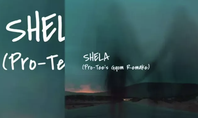 Pro-Tee – Shela (Pro-Tee’s Gqom Remake) ft. Dr Dope & Deejay Zebra SA