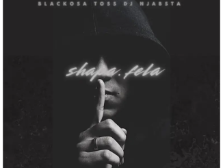 Mulest Vankay, Novatron & Al Xapo