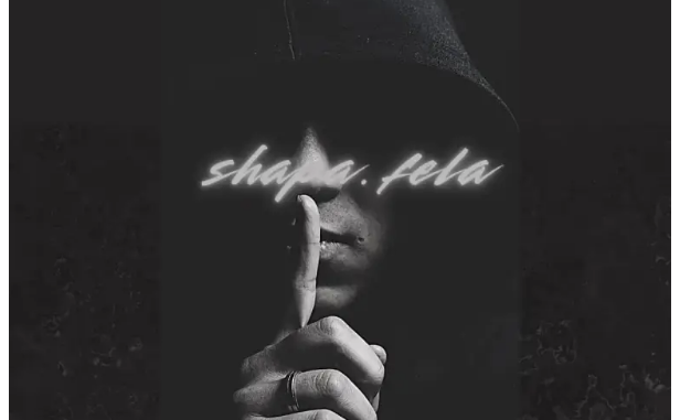 Mulest Vankay, Novatron & Al Xapo