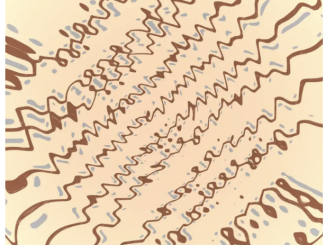 Dee Cee & NativeSon SA