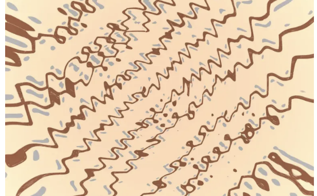 Dee Cee & NativeSon SA