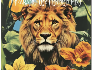 Pierre Dube, Enhle & M Vila